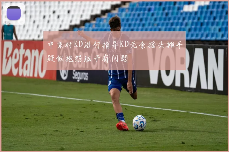 申京对KD进行指导KD无奈摇头摊手疑似抱怨脑子有问题