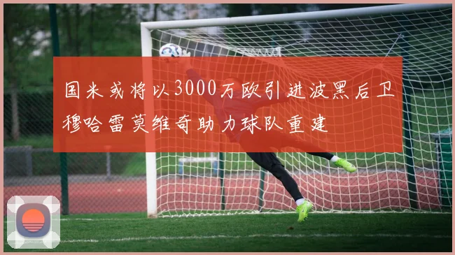 国米或将以3000万欧引进波黑后卫穆哈雷莫维奇助力球队重建